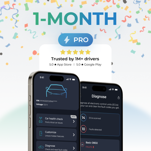 Carista App 1-month subscription